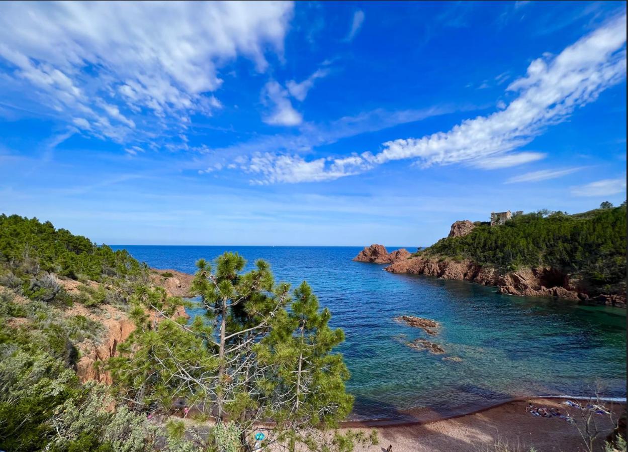 Les Cactus Frejus Plage Exteriér fotografie
