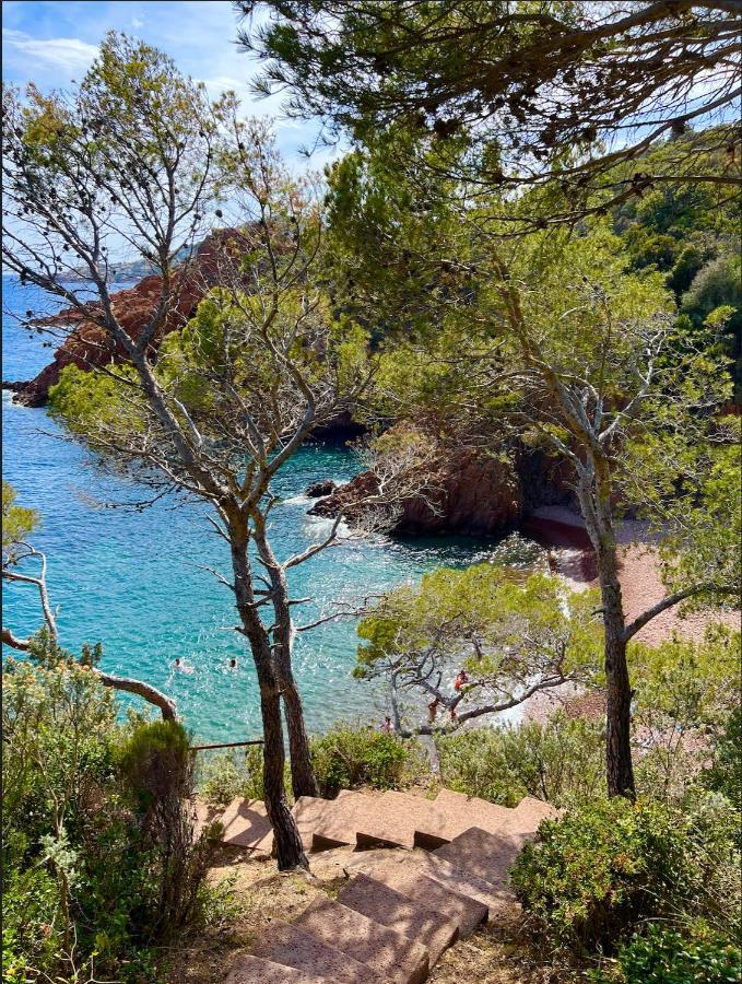Les Cactus Frejus Plage Exteriér fotografie