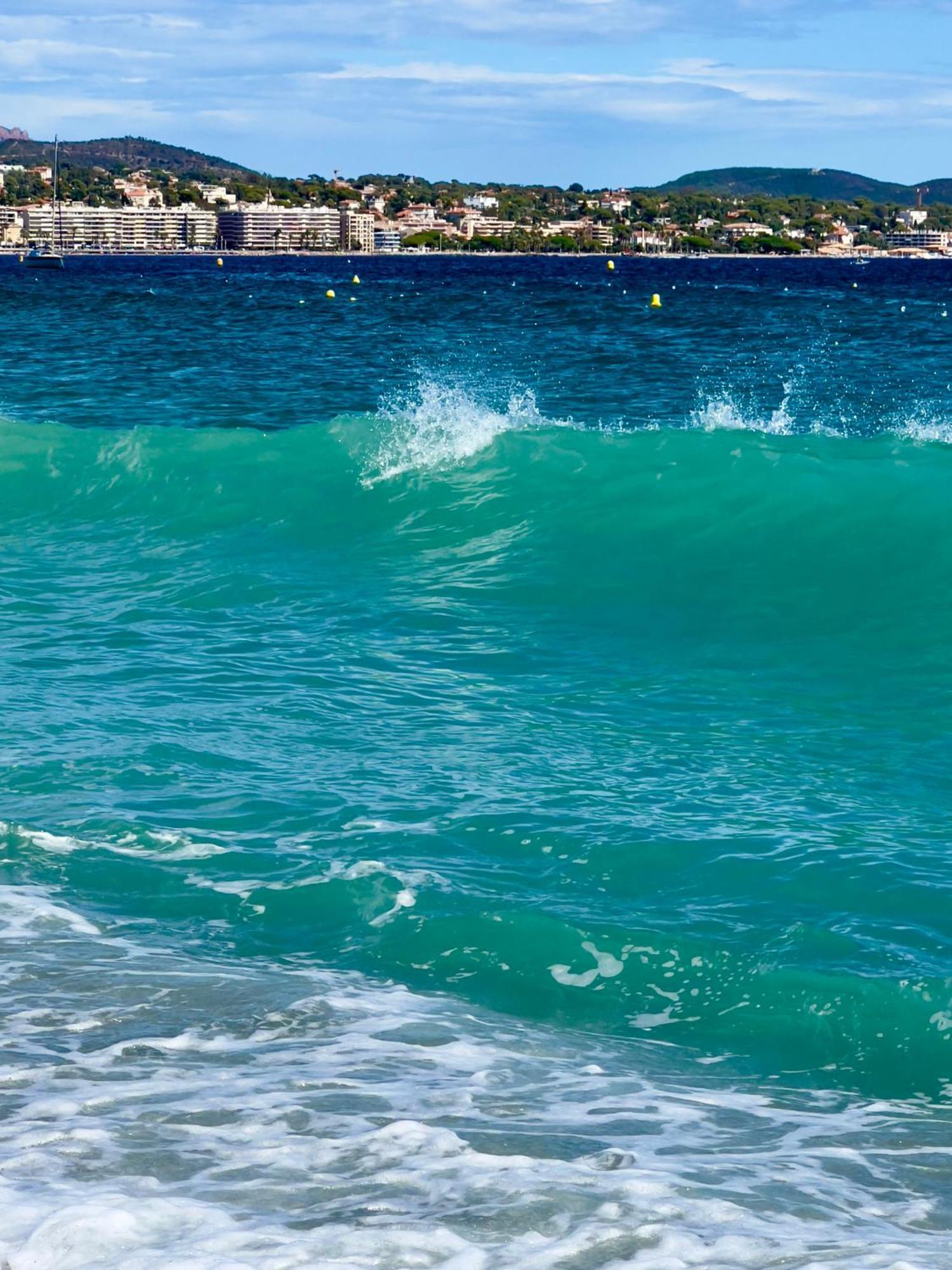 Les Cactus Frejus Plage Exteriér fotografie